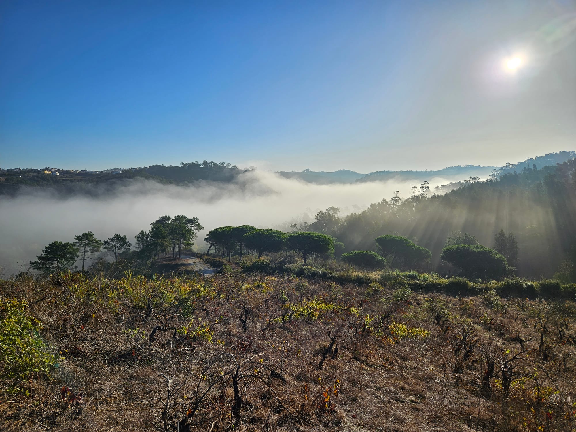 Penedo do Corvo